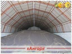 Где хранить зерно?