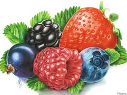 Boabe, legume, fructe din Ucraina.