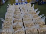 Cashew Nuts from Vietnam - photo 2