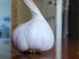 Чеснок - фото 3