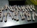 Chicken Feet and chicken paws and whole halal chicken at the best prices with prompt shipp - фото 3