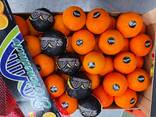 Fructe citrice din Spania - photo 3