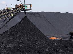 Concentrat de cărbune