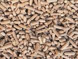 EN plus Wood Pellets A1 - фото 3