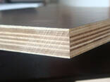 Laminated birch plywood - фото 3