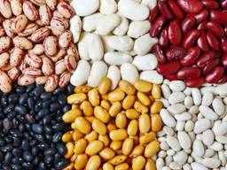 Fasole, semințe de in, linte, naut, mazăre și alte produse agricole.