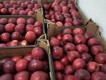 Fresh apples from Denmark