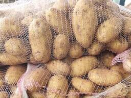Fresh Irish Potatoes