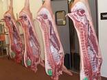 High-Quality Frozen Pork Feet Front and Hind - photo 1