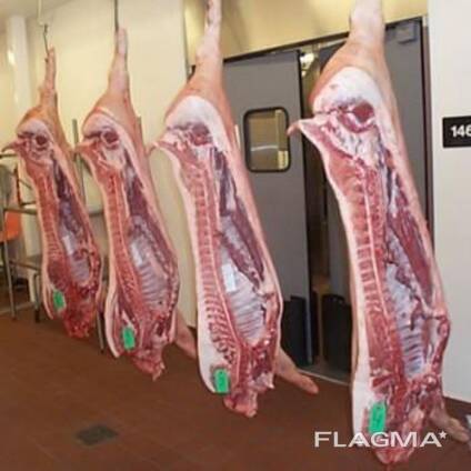 High-Quality Frozen Pork Feet Front and Hind