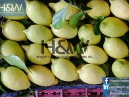 Lemon
