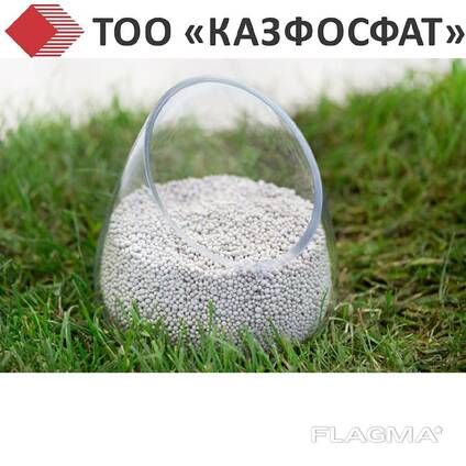 Ammophos N10, P46 (Monoammonium phosphate (MAP))
