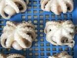 Мороженная рыба и морепродукты в Румынию от производителя из КНР - photo 7
