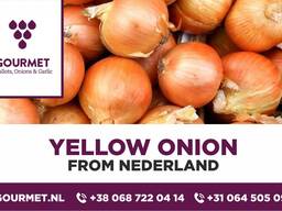 Onions