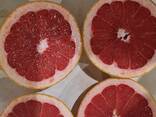 Comert cu ridicata de grapefruit din Turcia - photo 1