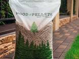 Pellets (fuel pellets)