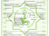 Saci și manșoane din polipropilenă de diferite dimensiuni - фото 9