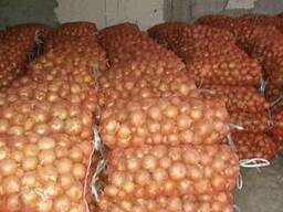 Onions from Uzbekistan