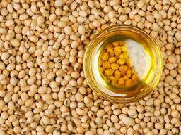 Soybean oil/ Ulei de soia