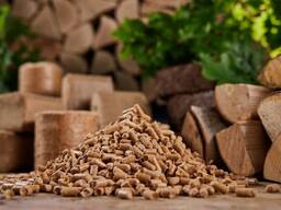 Peleti de combustibil de la producator