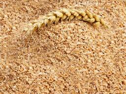 Wheat bran / Tărâțe de grâu / отруби пшеничные