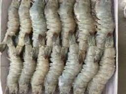 Wholesale Black Tiger Shrimp