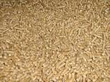 Wood Pellets for Heating ENplus A1 - фото 3