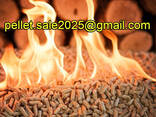 Wood pellets pellet Manufacturer EXPORT - photo 1