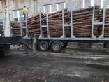 Wood pellets pellet Manufacturer EXPORT - photo 6